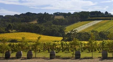 重庆梁平出国劳务与道路普通货运发展现状与机遇